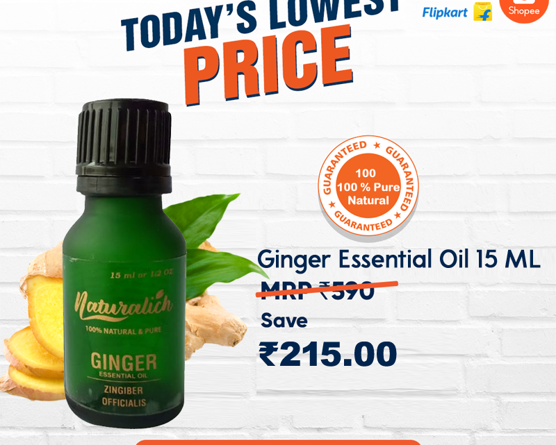 Today Lowest Price Ginger Essential Oil 15 ML